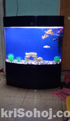 CLEAIR ACRYLIC TANKS  AQUARIUM